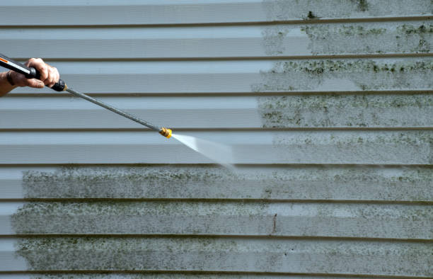 Professional Pressure Washing Services in Madison, FL